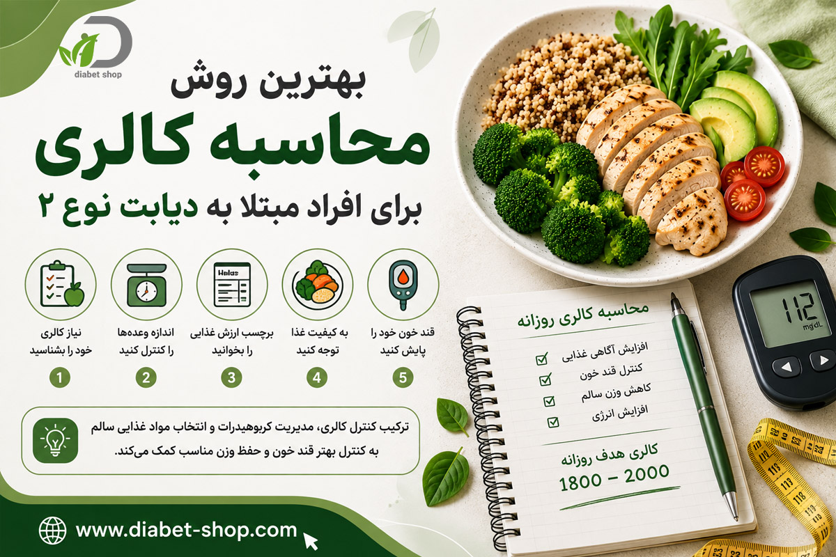 Calculating Meal Calories2