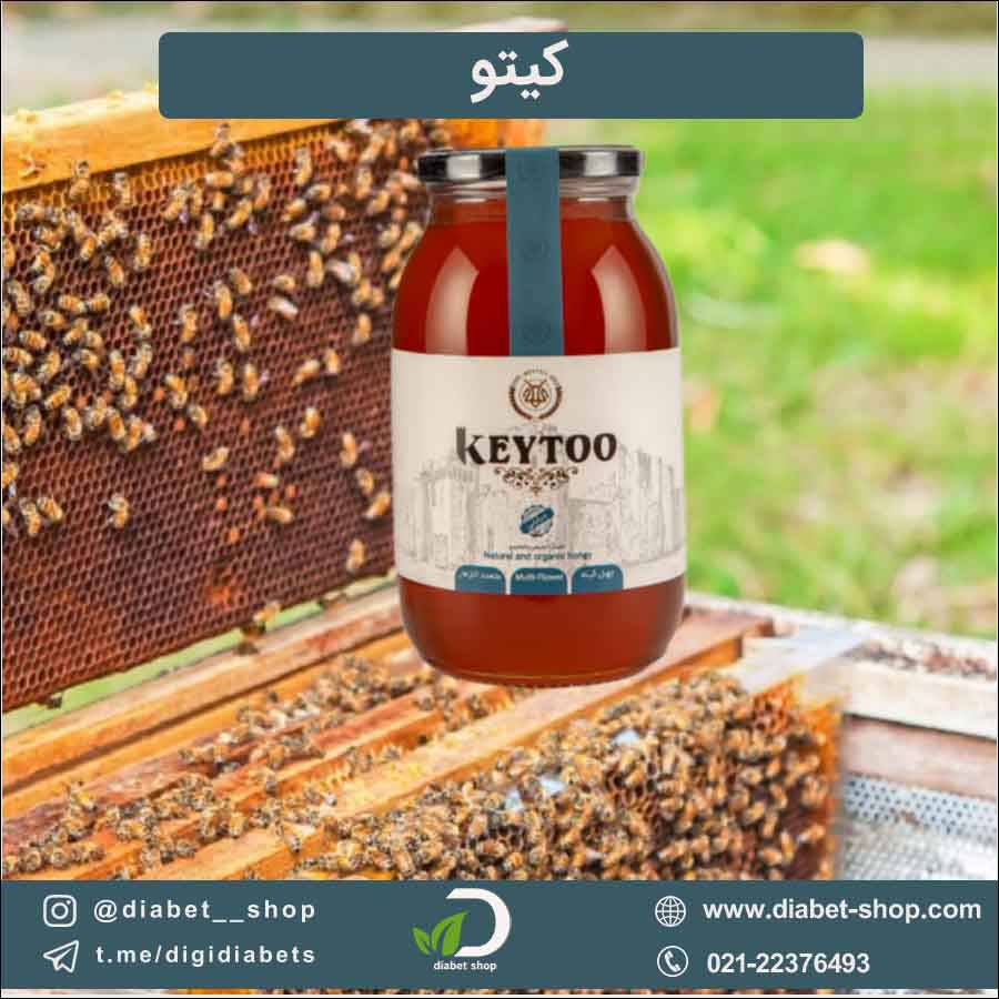 کیتو