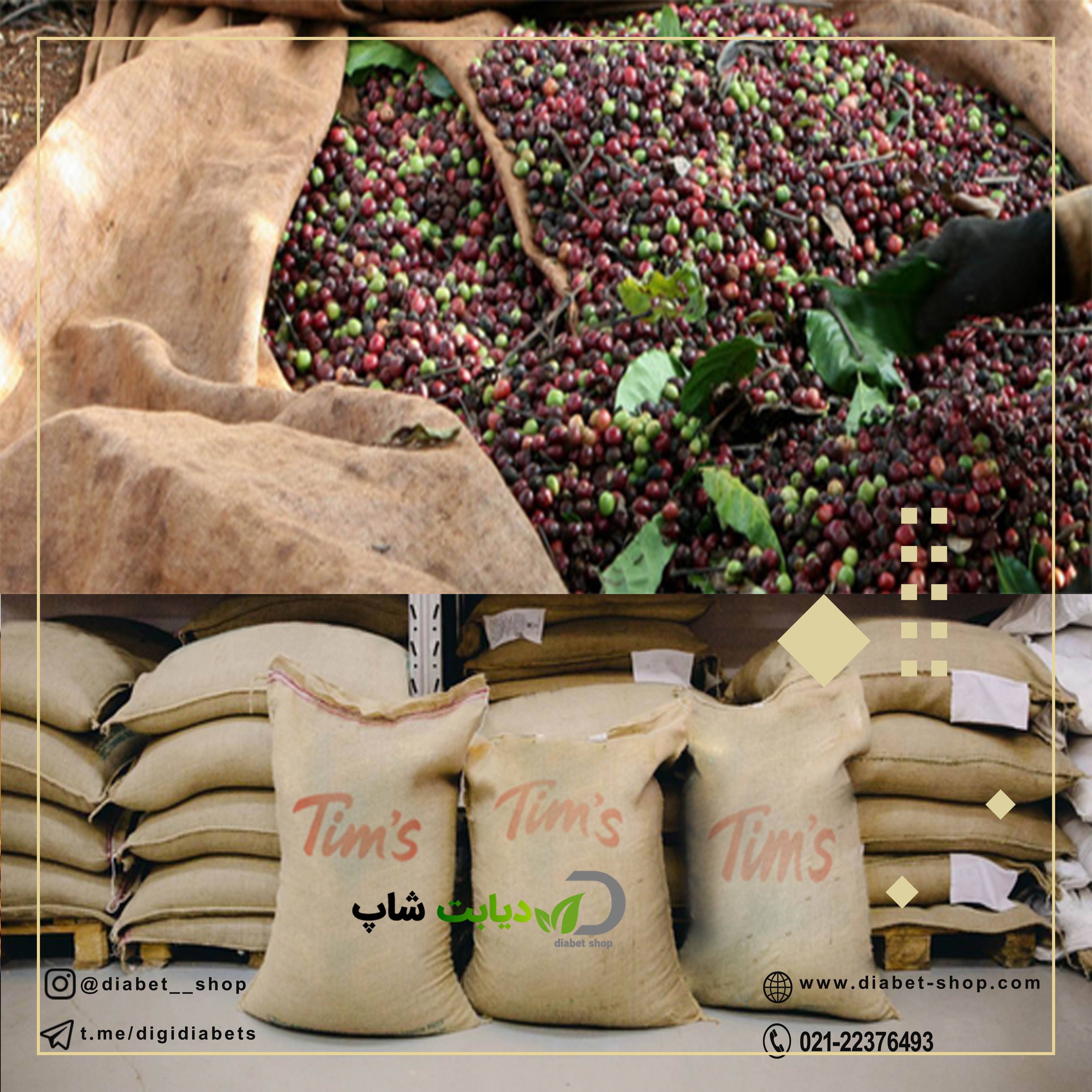 برند تیمز ، Tims