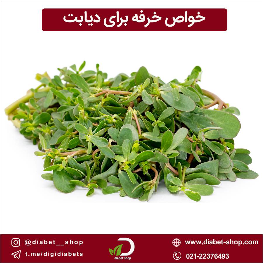 خواص خرفه برای دیابت