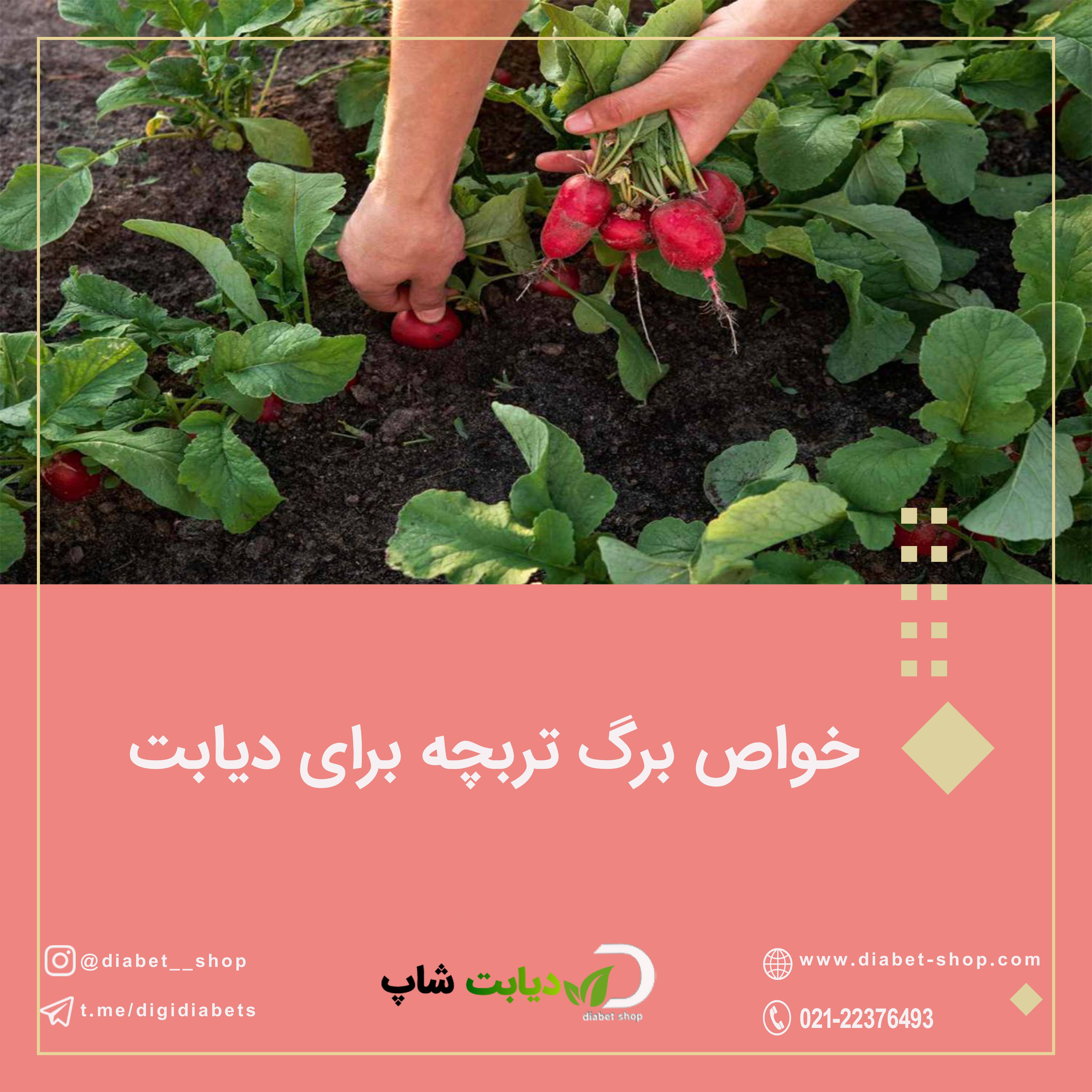 خواص برگ تربچه برای دیابت