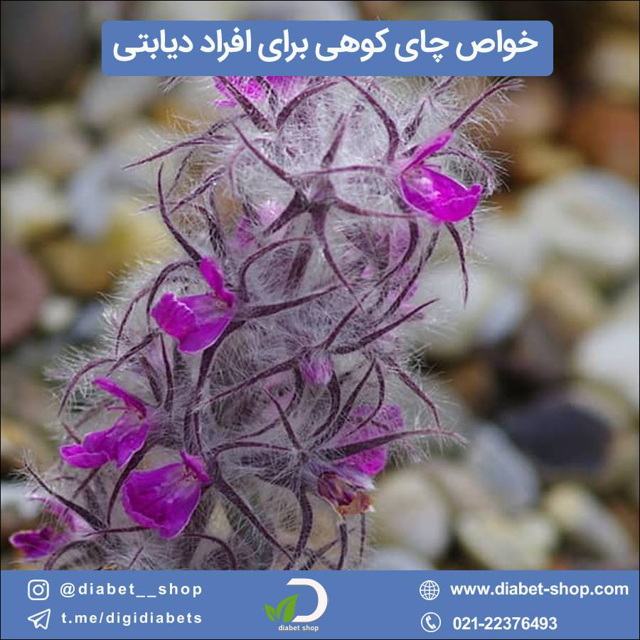 خواص چای کوهی برای افراد دیابتی