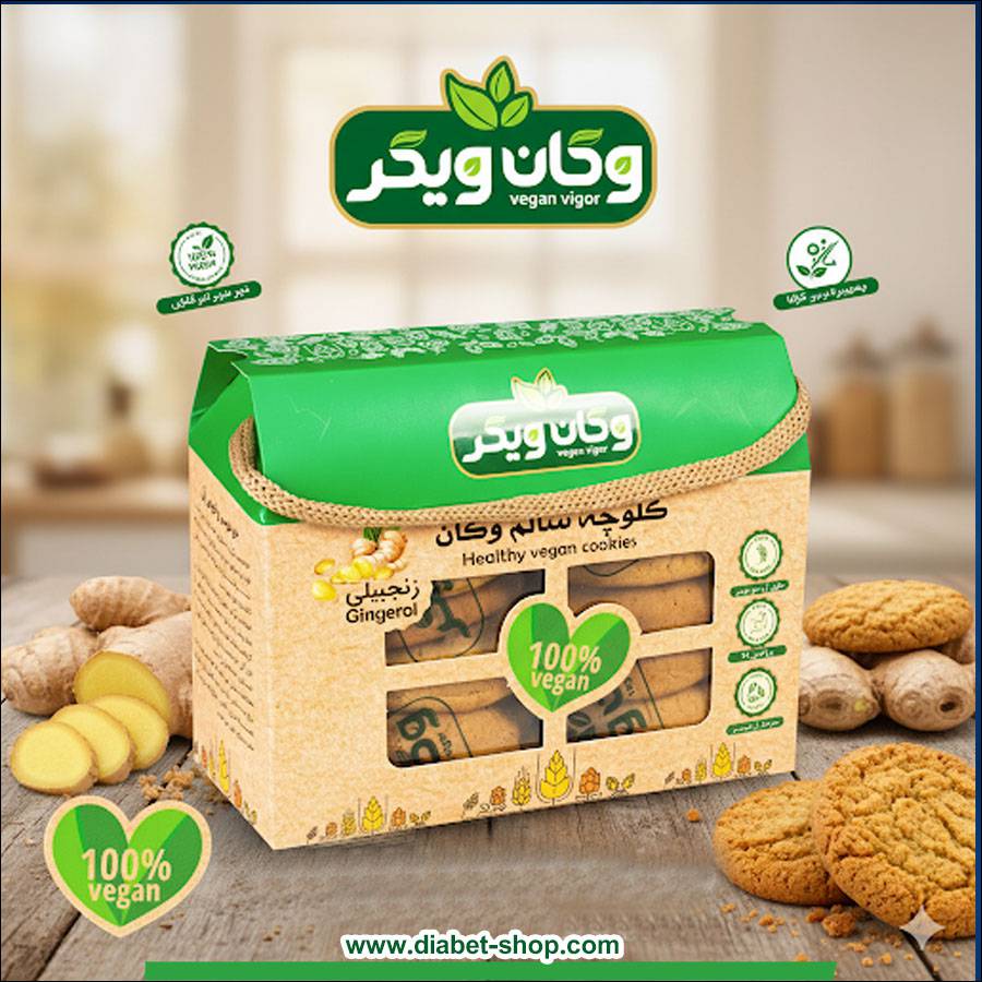 کلوچه سنتی سالم وگان زنجبیلی وگان ویگر