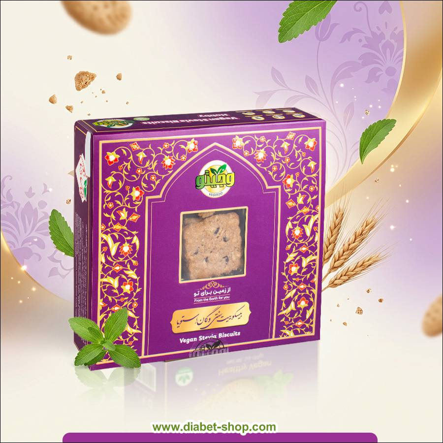 بیسکویت سنتی رژیمی وگان با استویا هوبی وجیتو