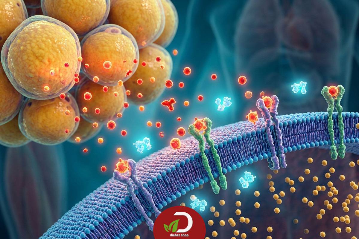 دلایل مقاومت به انسولین در افراد دیابتی