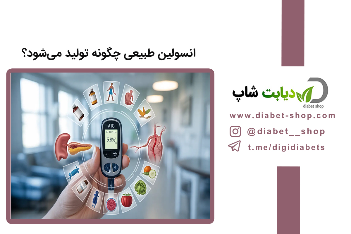 انسولین طبیعی چگونه تولید می‌شود؟ بررسی کامل فرآیند ترشح انسولین در بدن و نقش آن در کنترل قند خون