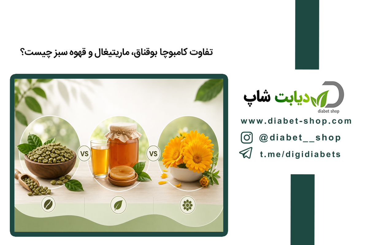 تفاوت کامبوچا بوقناق، ماریتیغال و قهوه سبز چیست؟