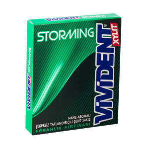 آدامس استورمینگ بدون قند با طعم نعنا ویویدنت 12 عددی Vivident Storming