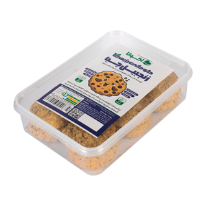 کوکی رژیمی بدون قند زنجبیل چیا اکولا 300 گرمی