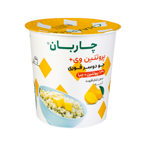 اوتمیل پروتئین و چیا با طعم انبه چاربان 55 گرمی